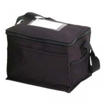Basic Lunch Cooler